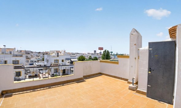 Resale - Duplex / Two-storey apartment - Torrevieja - La Siesta - El Salado - Torreta