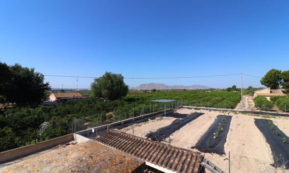 Resale - Farm Estate / Country Property - Albatera - Albatera - Country