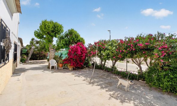 Resale - Farm Estate / Country Property - Orihuela - Desamparados-Hurchillo-Torremendo