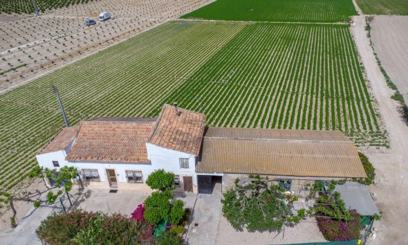 Resale - Farm Estate / Country Property - Orihuela - Desamparados-Hurchillo-Torremendo
