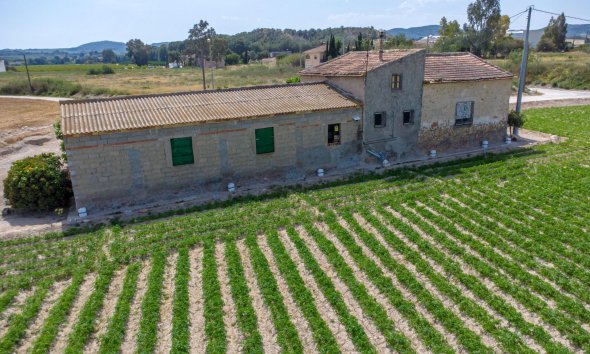 Resale - Farm Estate / Country Property - Orihuela - Desamparados-Hurchillo-Torremendo