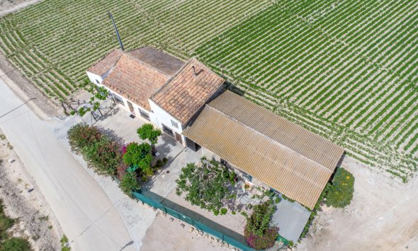 Resale - Farm Estate / Country Property - Orihuela - Desamparados-Hurchillo-Torremendo