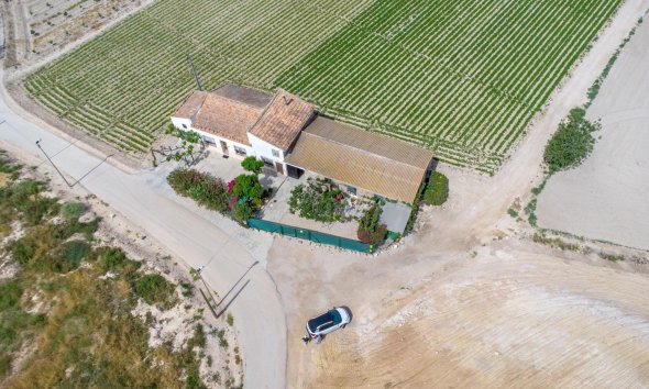 Resale - Farm Estate / Country Property - Orihuela - Desamparados-Hurchillo-Torremendo