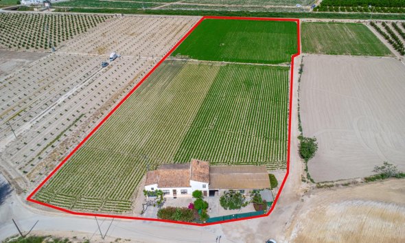 Resale - Farm Estate / Country Property - Orihuela - Desamparados-Hurchillo-Torremendo