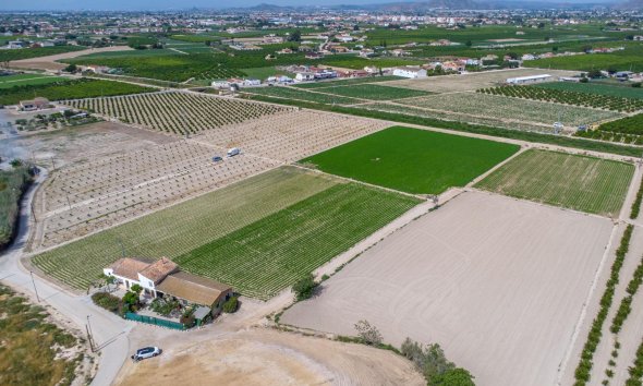 Resale - Farm Estate / Country Property - Orihuela - Desamparados-Hurchillo-Torremendo