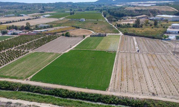 Resale - Farm Estate / Country Property - Orihuela - Desamparados-Hurchillo-Torremendo