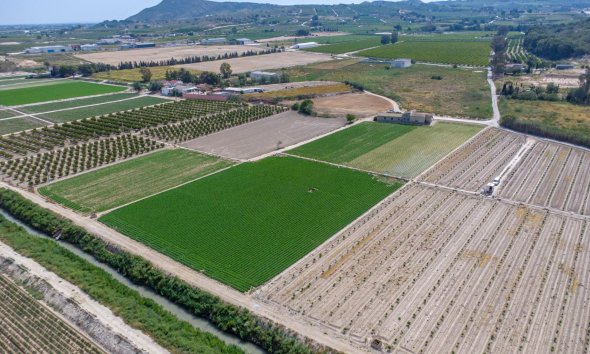 Resale - Farm Estate / Country Property - Orihuela - Desamparados-Hurchillo-Torremendo