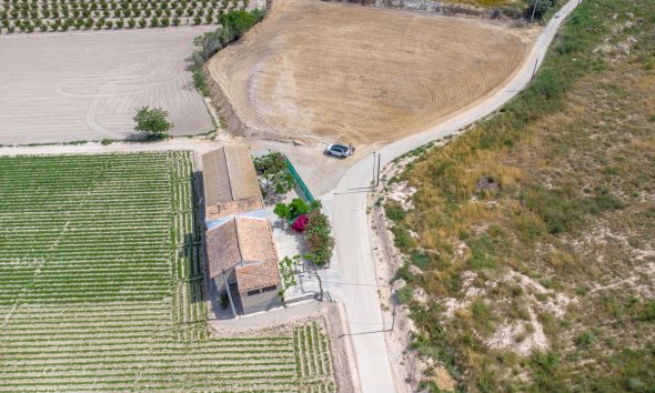 Resale - Farm Estate / Country Property - Orihuela - Desamparados-Hurchillo-Torremendo