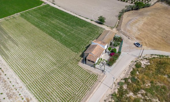 Resale - Farm Estate / Country Property - Orihuela - Desamparados-Hurchillo-Torremendo
