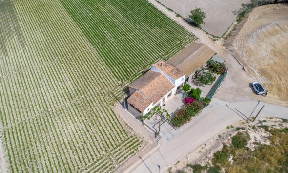 Resale - Farm Estate / Country Property - Orihuela - Desamparados-Hurchillo-Torremendo