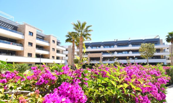 Reventa - Apartamento - Orihuela Costa - Playa Flamenca