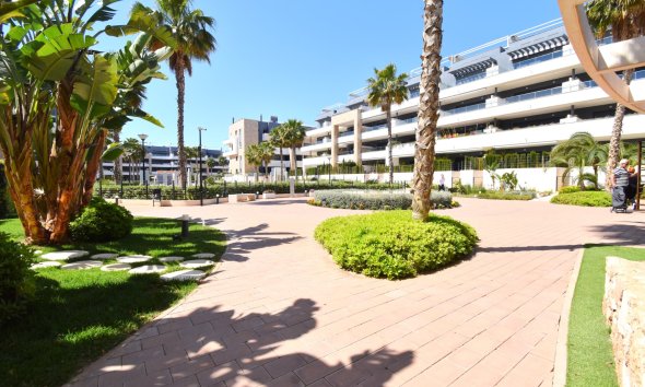 Reventa - Apartamento - Orihuela Costa - Playa Flamenca