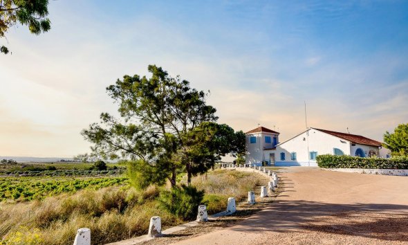 Resale - Apartment - Torrevieja - La Mata
