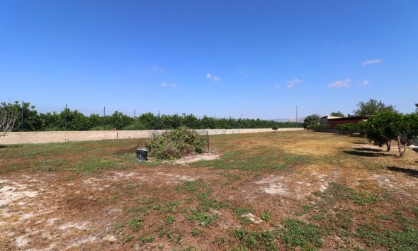 Reventa - Finca - Benferri - Benferri - Country