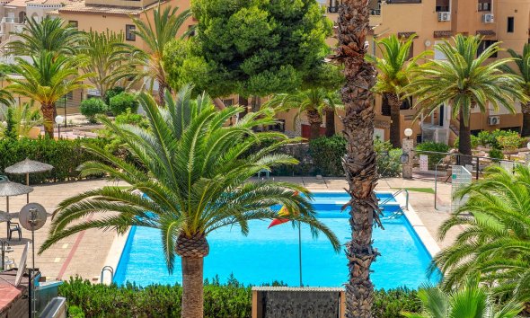 Rynek Wtórny - Apartament - Torrevieja - Torrevieja - Aguas Nuevas