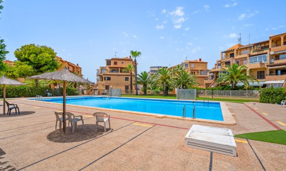Rynek Wtórny - Apartament - Torrevieja - Torrevieja - Aguas Nuevas