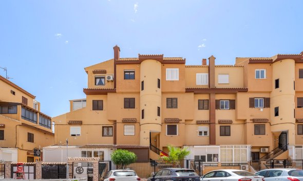 Rynek Wtórny - Apartament - Torrevieja - Torrevieja - Aguas Nuevas