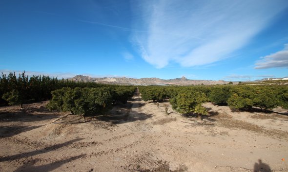Resale - Farm Estate / Country Property - Murcia - Costa blanca