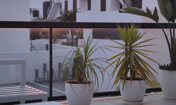 Resale - Apartment - Pilar de la Horadada - El Mojón