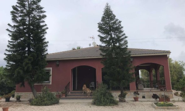 Resale - Casa o Chalet Independiente - Callosa De Segura