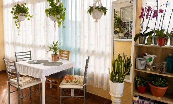 Reventa - Bungalow - Torrevieja