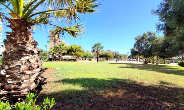 Resale - Apartment - La Mata