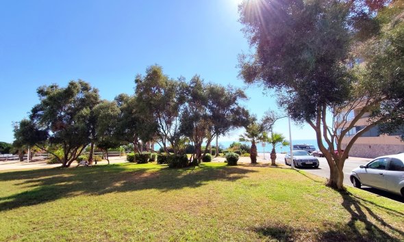 Resale - Apartment - La Mata