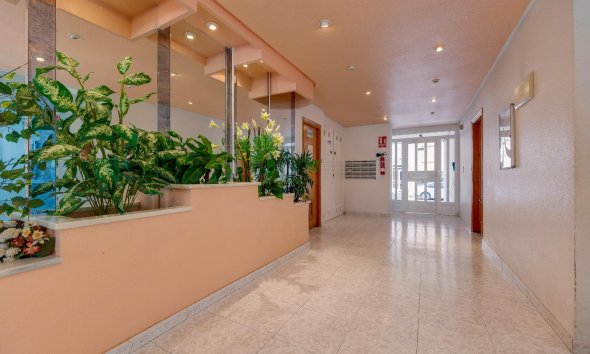 Resale - Apartment - Torrevieja - Habaneras