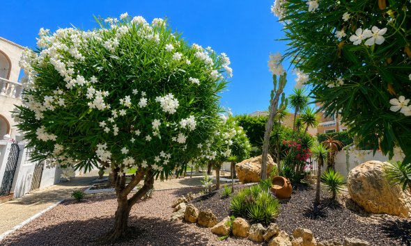 Resale - Bungalow - La Mata
