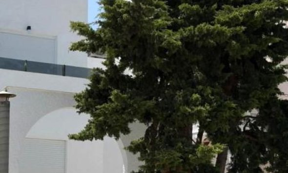 Obra nueva - Casas - Torrevieja