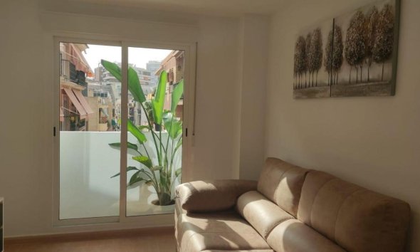 Rynek Pierwotny - Apartament - Alicante
