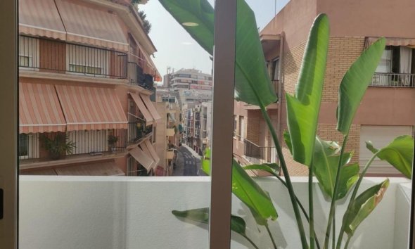Rynek Pierwotny - Apartament - Alicante