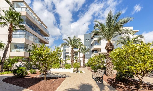 Reventa - Apartment - Orihuela Costa - Villamartín-Las Filipinas