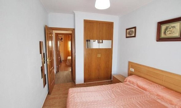 New Build - Houses - Guardamar del Segura