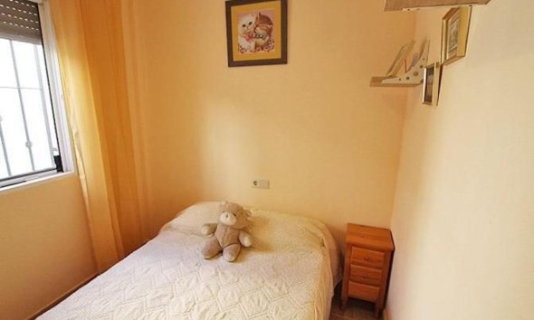 New Build - Houses - Guardamar del Segura