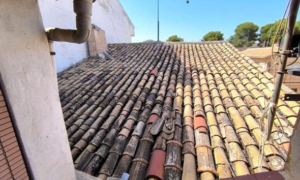 Obra nueva -  - Pinoso