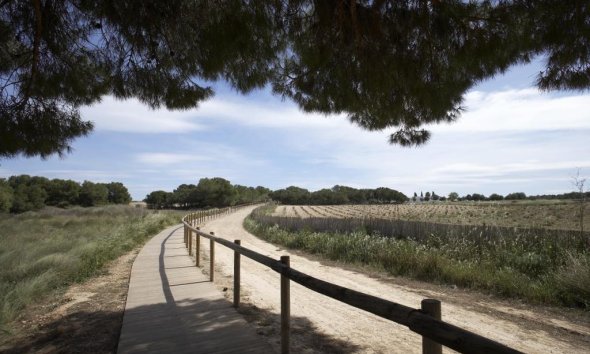 Obra nueva - Bungalow - Torrevieja - Torrejón