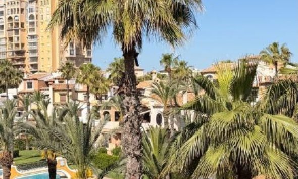 Rynek Pierwotny - Apartament - Torrevieja