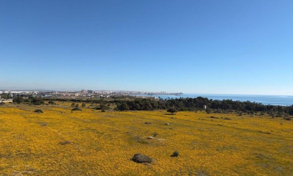 New Build - Penthouses - Torrevieja