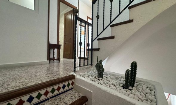 Obra nueva - Casas - Torrevieja