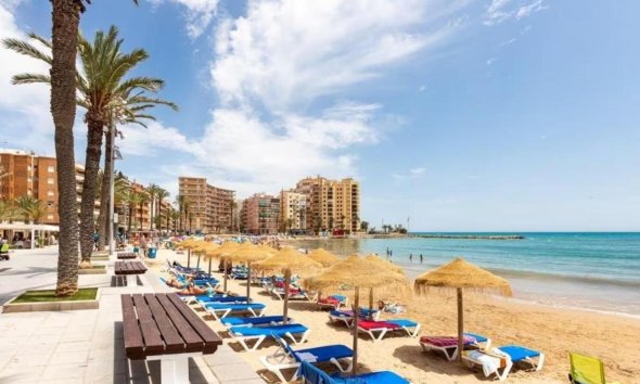 Obra nueva - Casas - Torrevieja