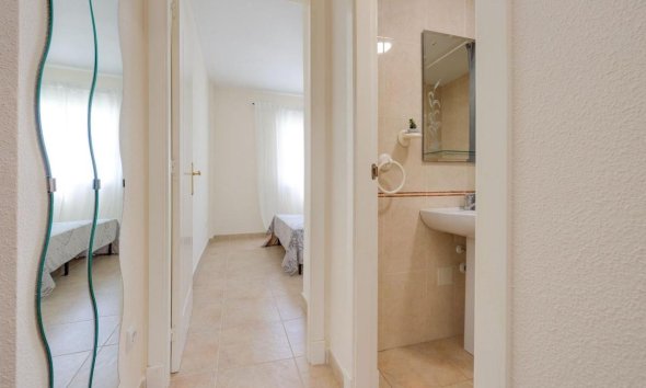 Obra nueva - Casas - Torrevieja