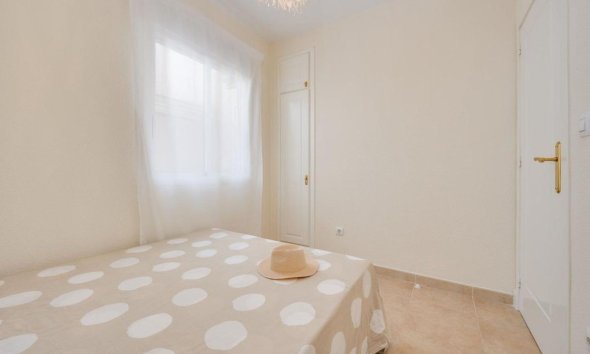 Obra nueva - Casas - Torrevieja