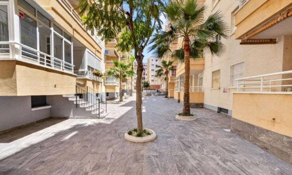 Rynek Pierwotny - Apartament - Torrevieja