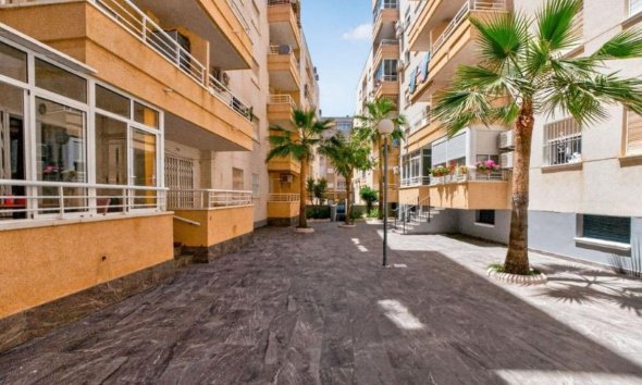 Rynek Pierwotny - Apartament - Torrevieja