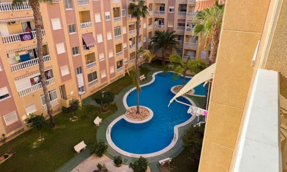 Obra nueva - Apartamento - Torrevieja