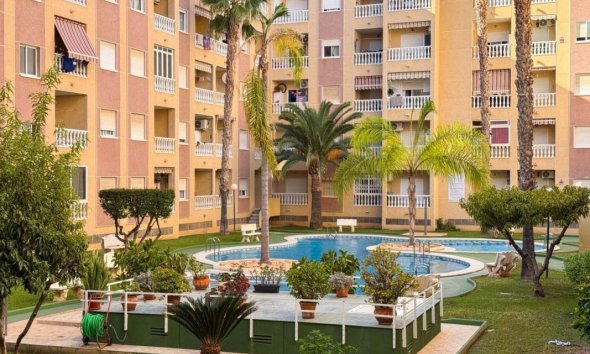 Obra nueva - Apartamento - Torrevieja