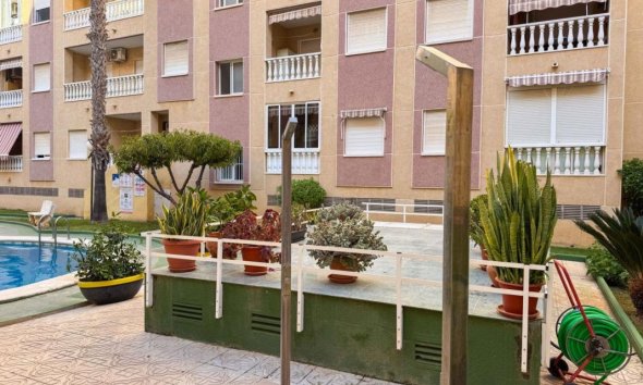 Obra nueva - Apartamento - Torrevieja