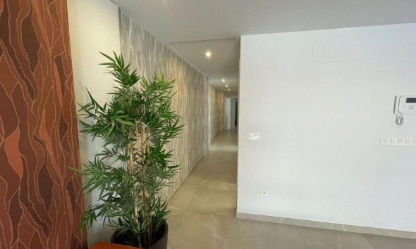 Rynek Pierwotny - Penthouse'y - Torrevieja