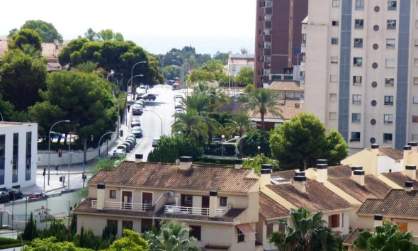 Rynek Pierwotny - Apartament - Alicante